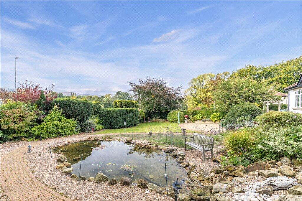 Pond