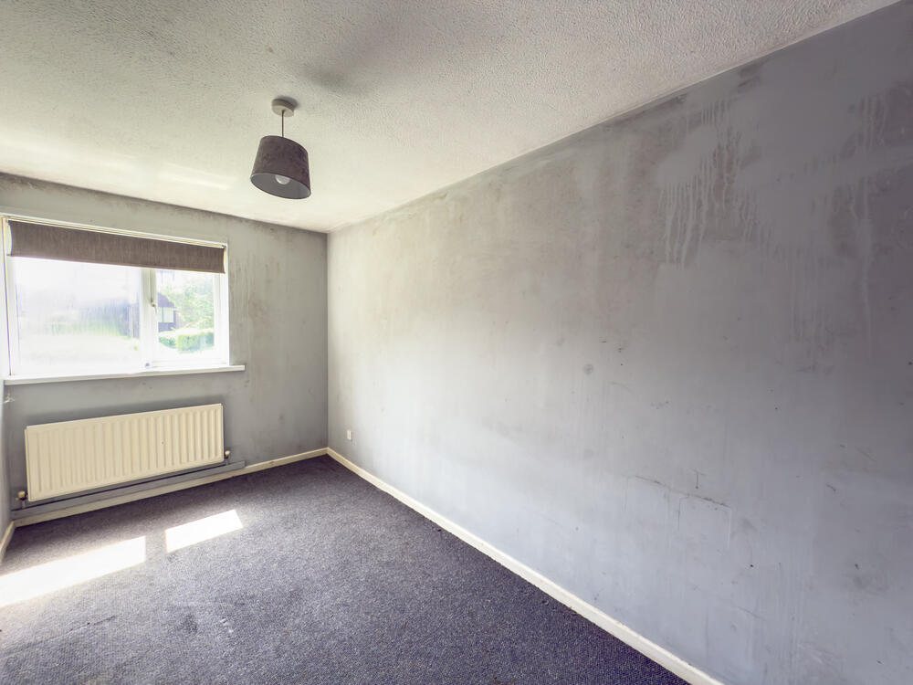 IMG 9040 2 T202506161803.jpg