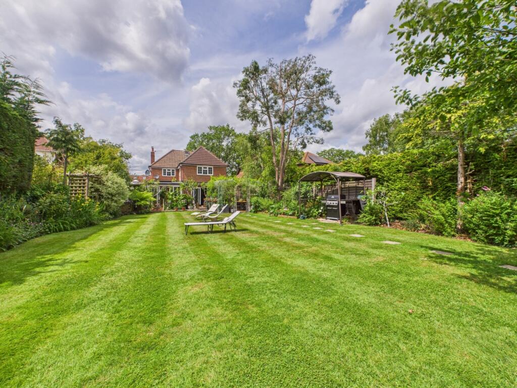 CAM03151G0-PR0045-STILL026