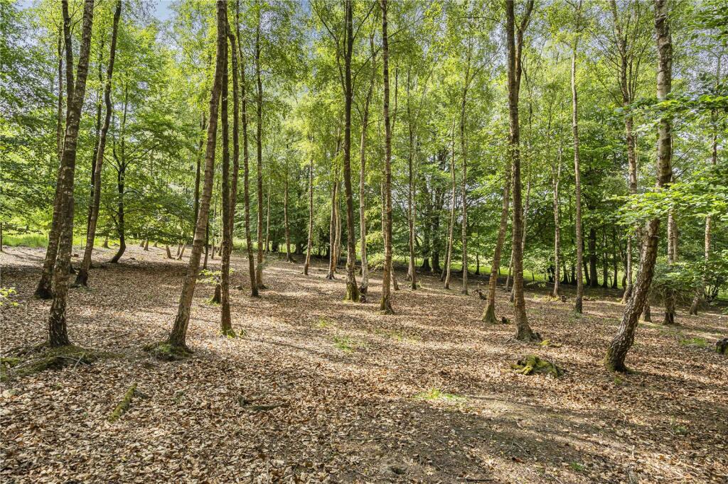 Woodland