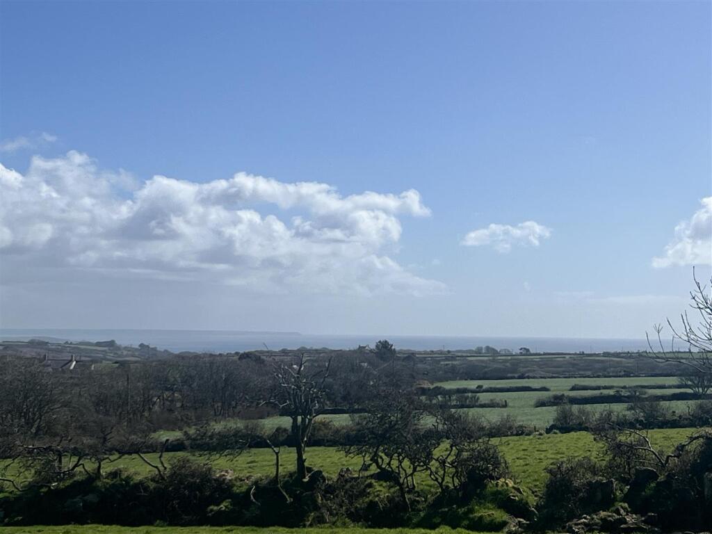 View from garden