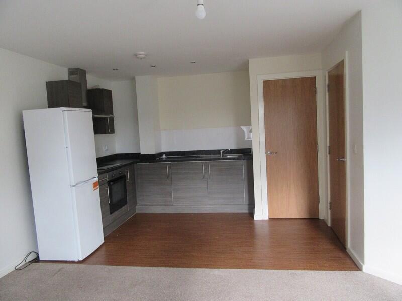 Open Plan Lounge Kitchen