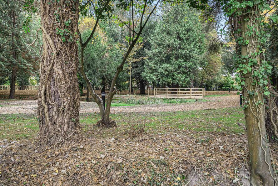 Farehurst Park - Woodland/Open Space