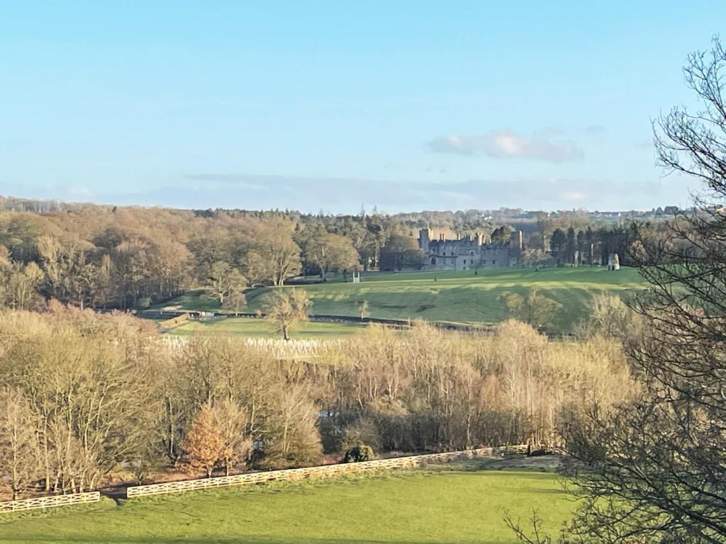 Witton Castle