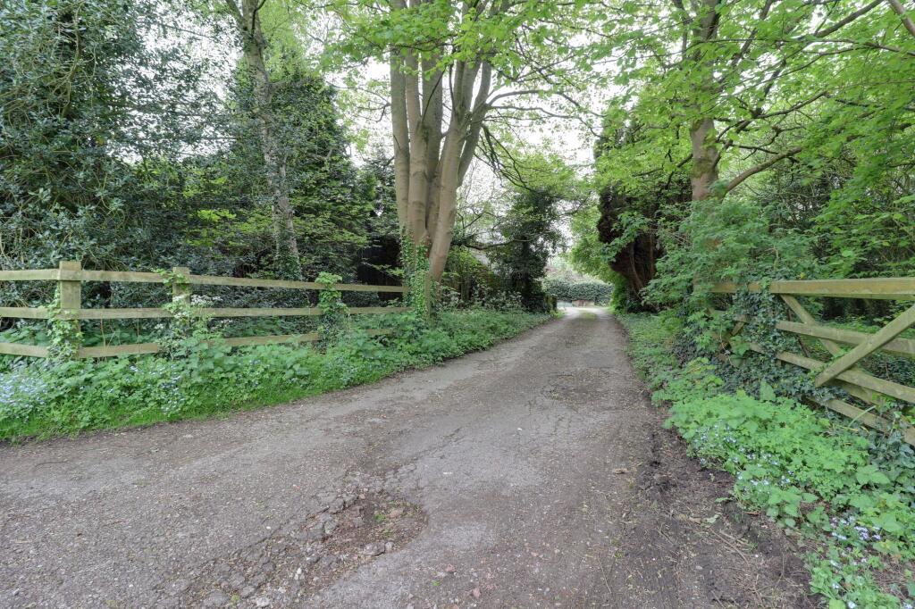 Driveway
