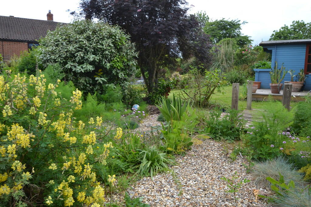 Beach Garden