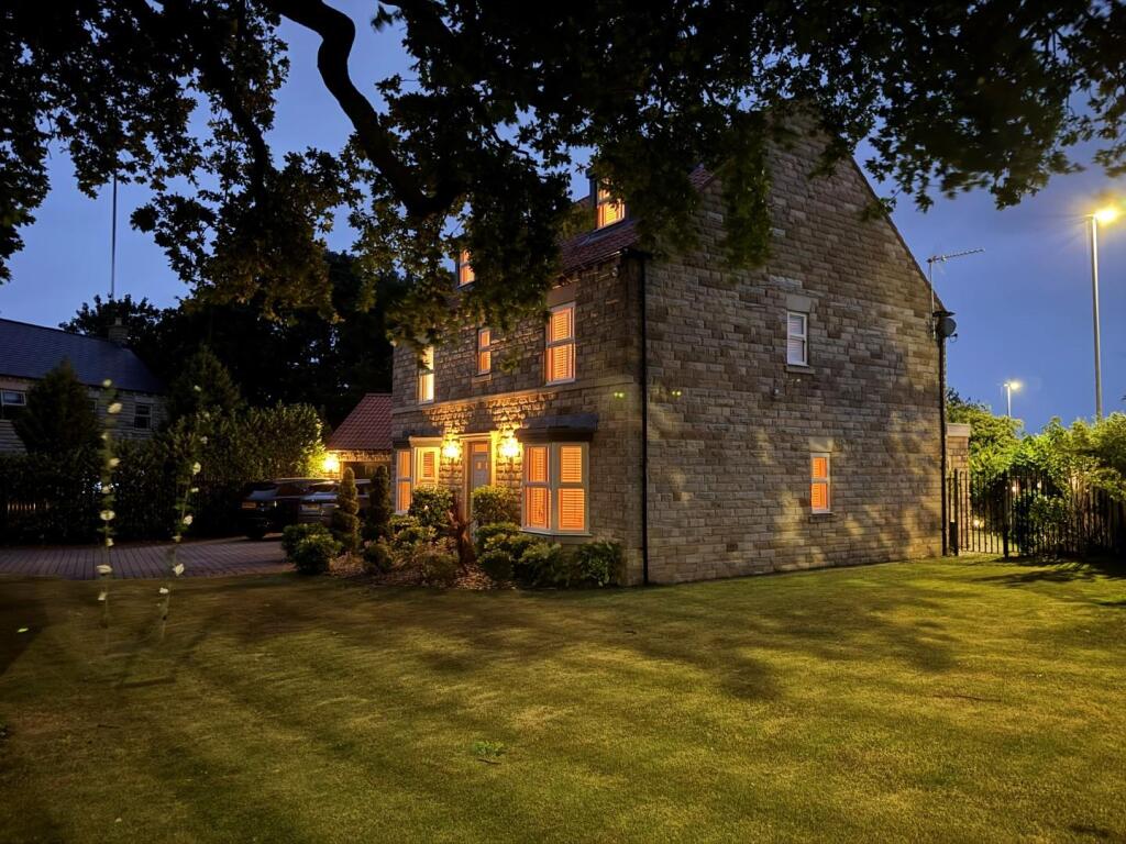 Tree House Twilight 1.jpg