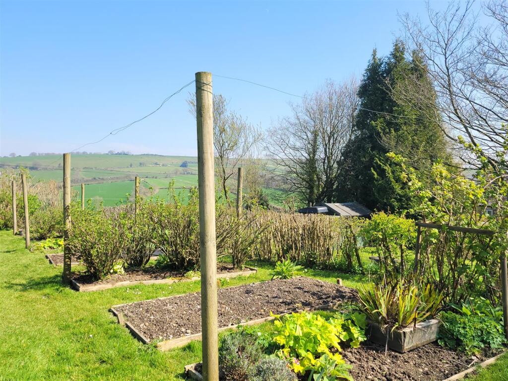 Vegetable garden