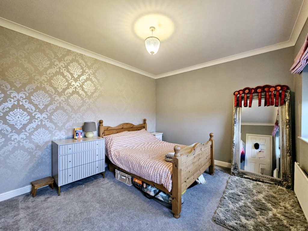 Untitled design - 2025-02-14T102458.791