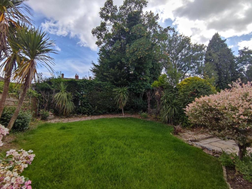Rear Garden 2
