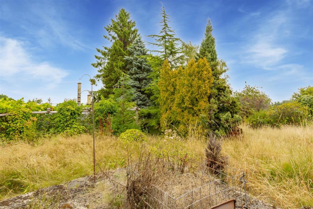 Garden DSC_7466 copy.jpg