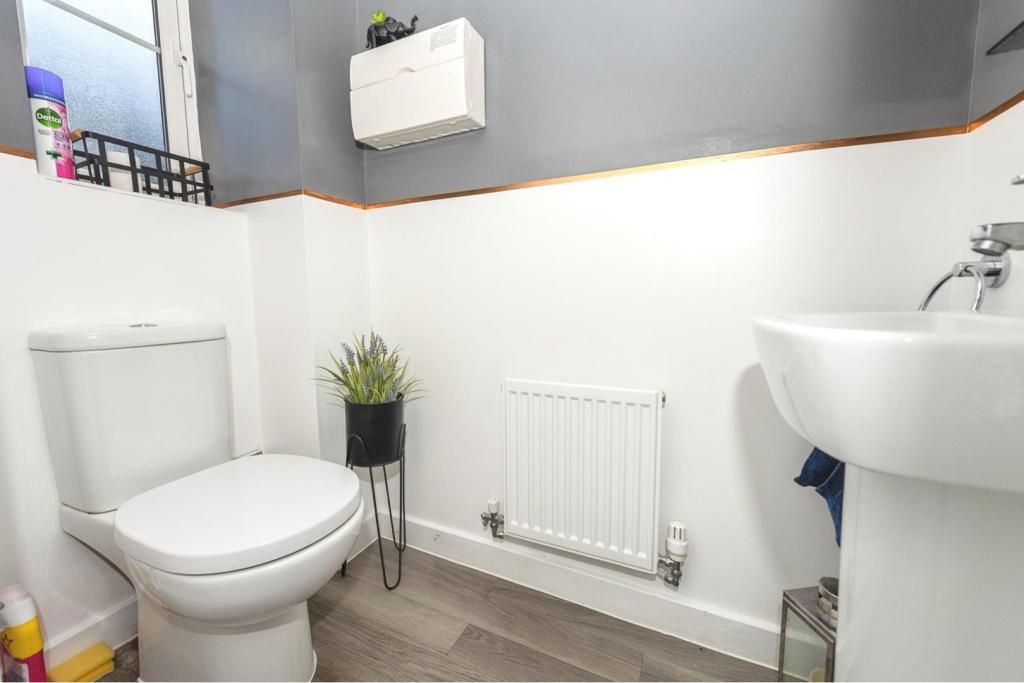 Downstairs Cloakroom