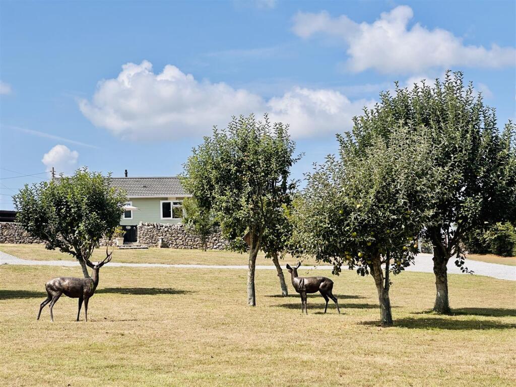 Important Information