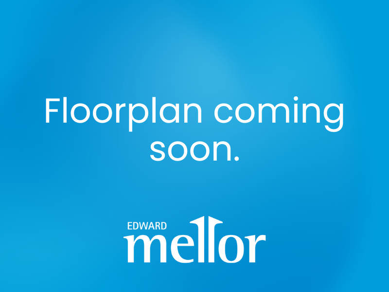 Images Coming Soon (4).png