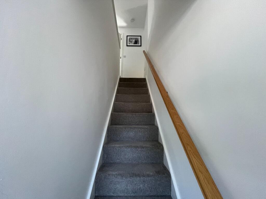 Photograph 15