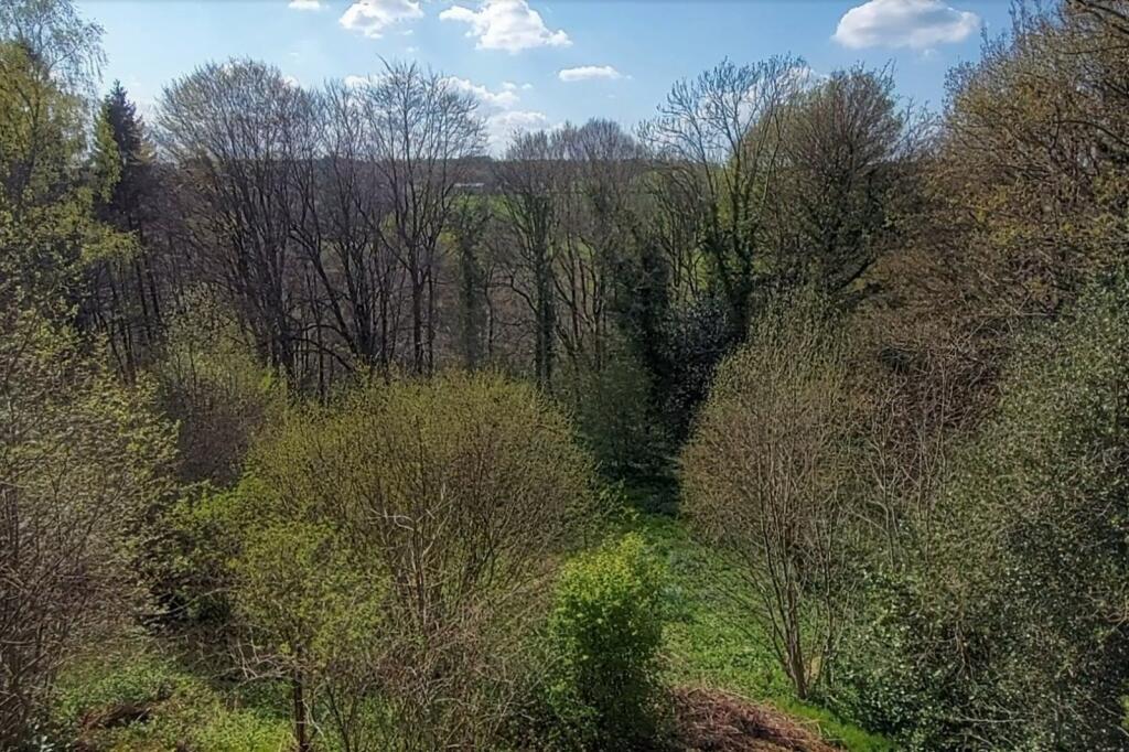 Rear Gardens/View
