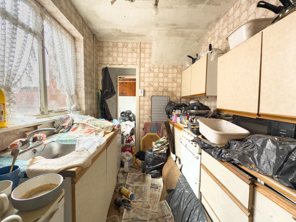 IMG 0915 T202507081052.jpg