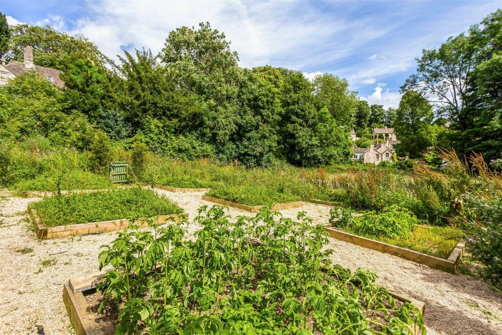 Vegetable garden.jpg