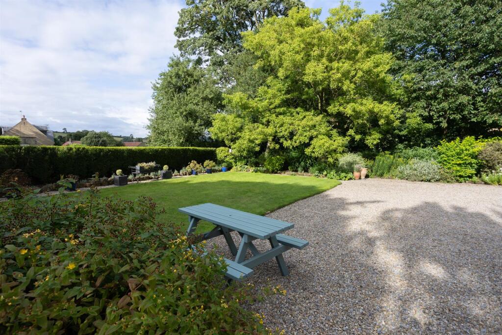 Front garden and drive