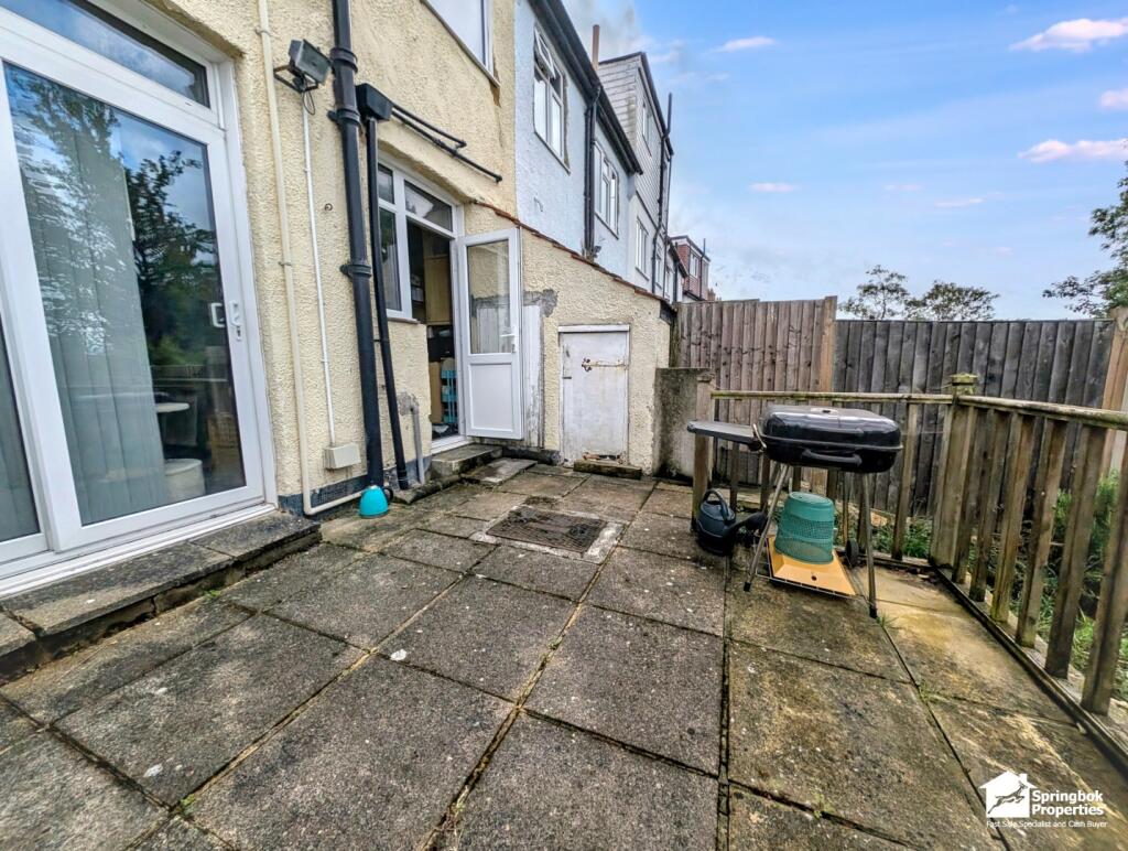 IMAGE 13 