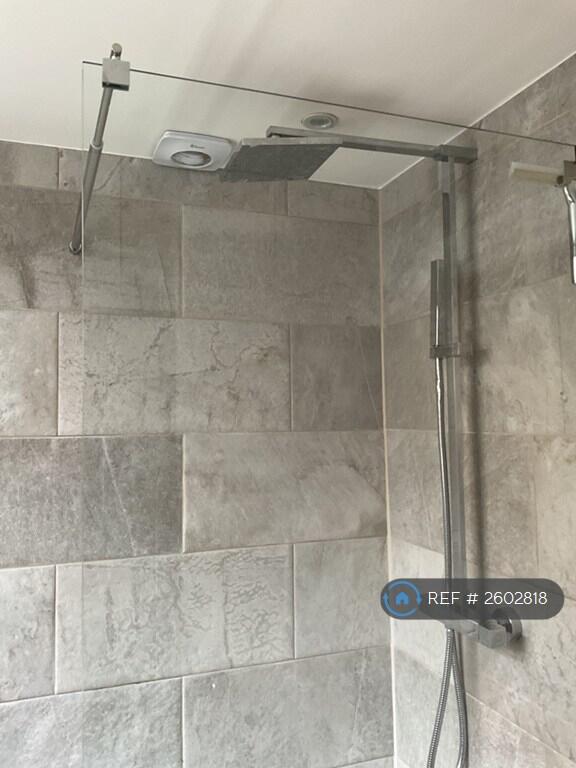 Rain Shower