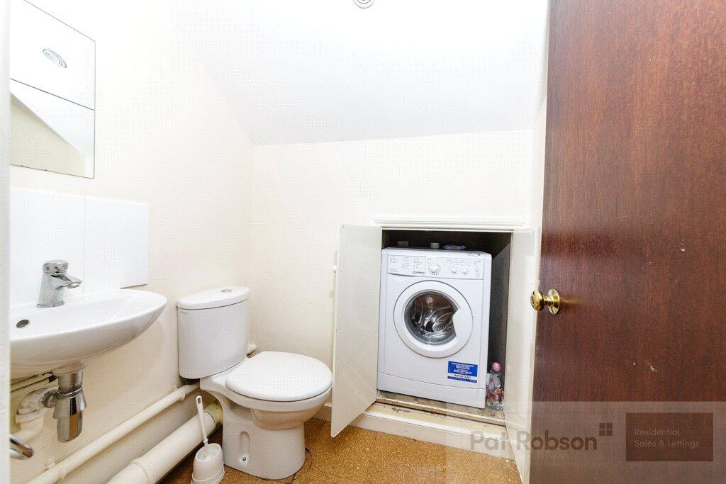 Picture 8
