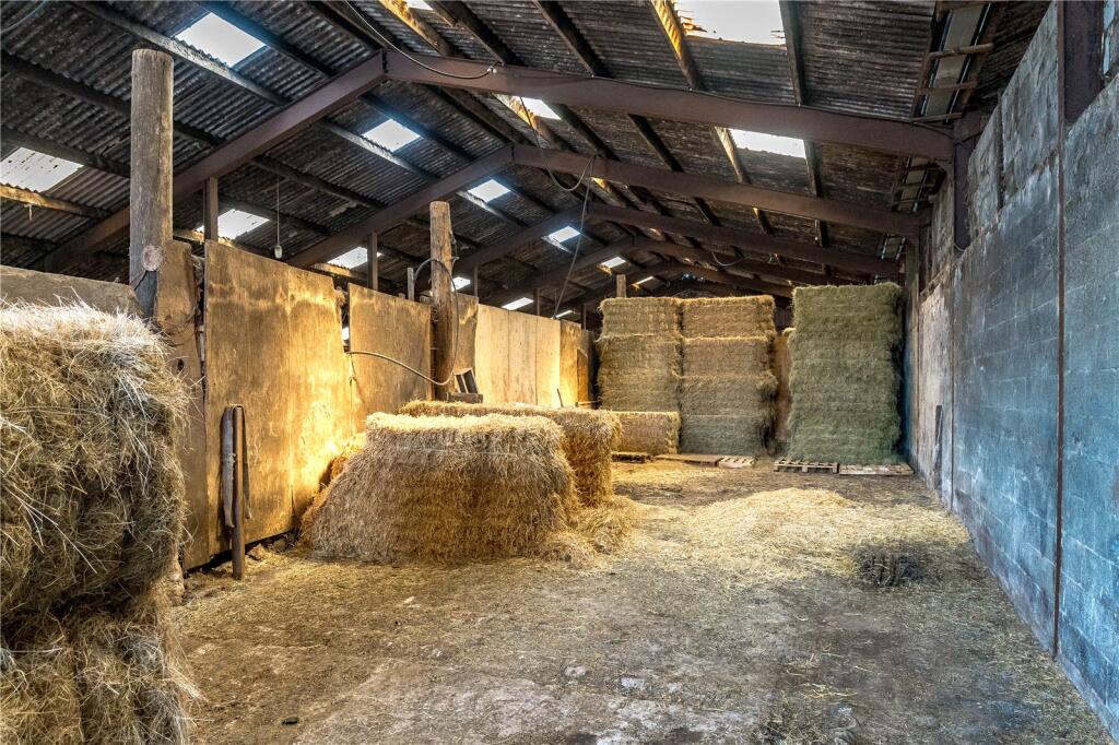 Cattle Shed