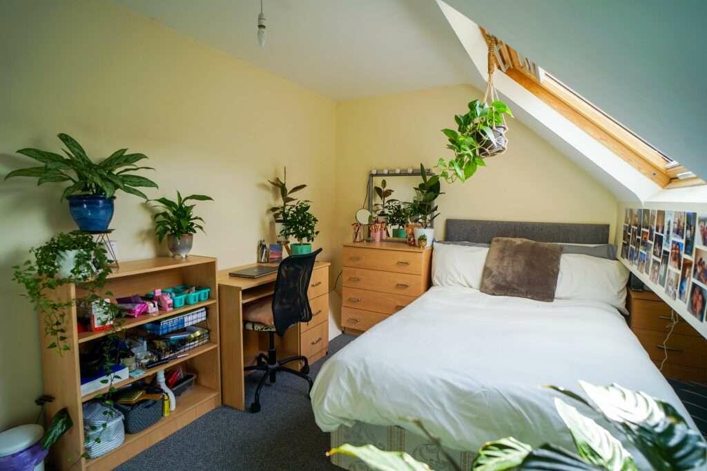 555_Crookesmoor_Road