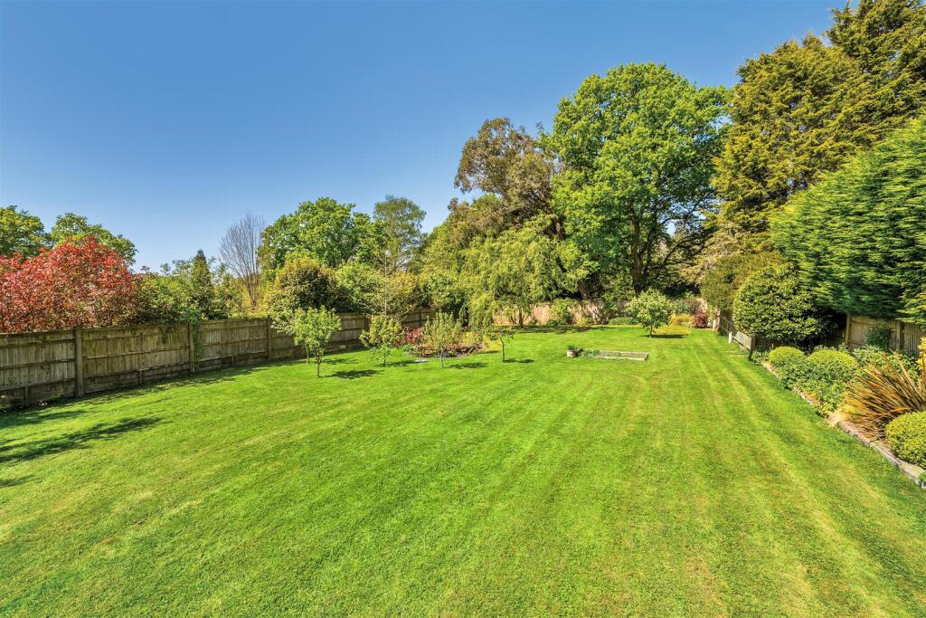 Garden (3)