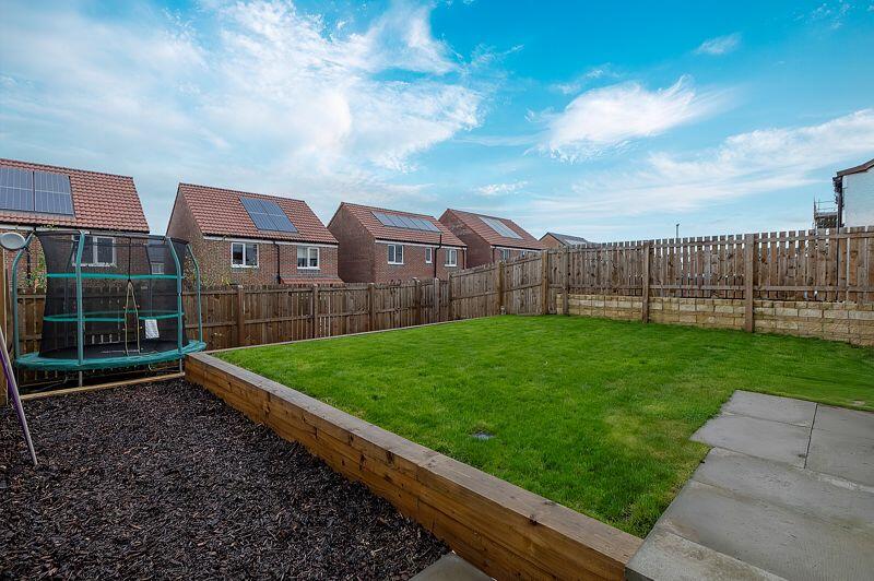 Back Garden