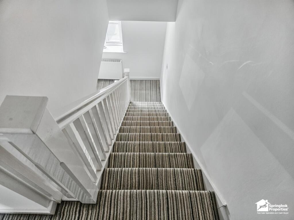 IMAGE 11 