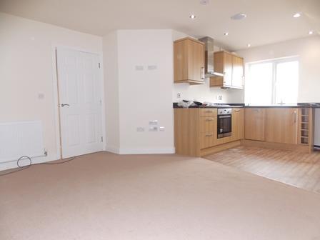 11 Mornington COurt Kitchen 2.JPG