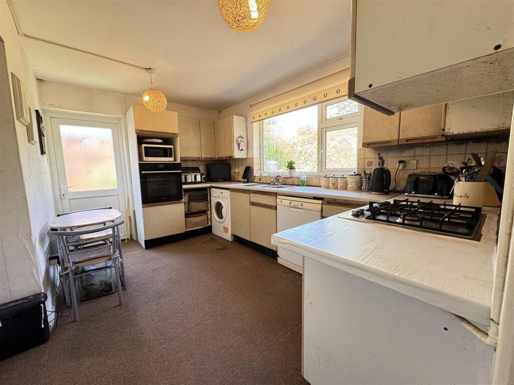 IMG_7700 (Large).JPG