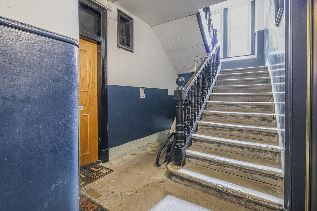 6-print-231 Bears...