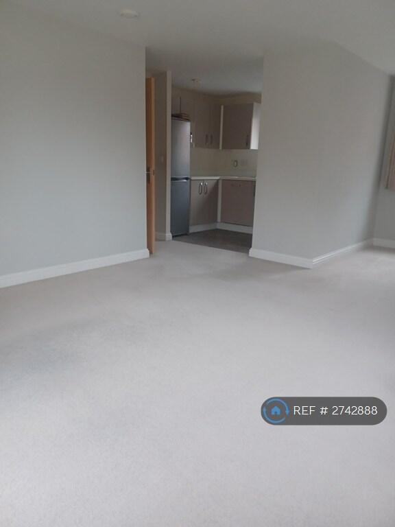 Large And Spacious Living Room / Dining Room