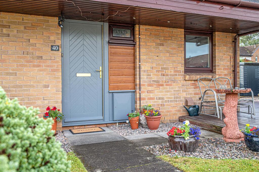 untitled (4 of 1).JPG