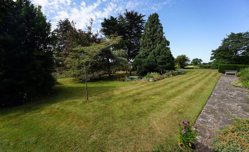 Mature planting