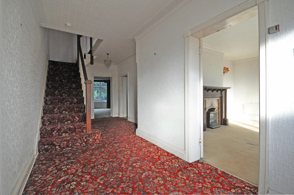 8 T202510021624.jpg