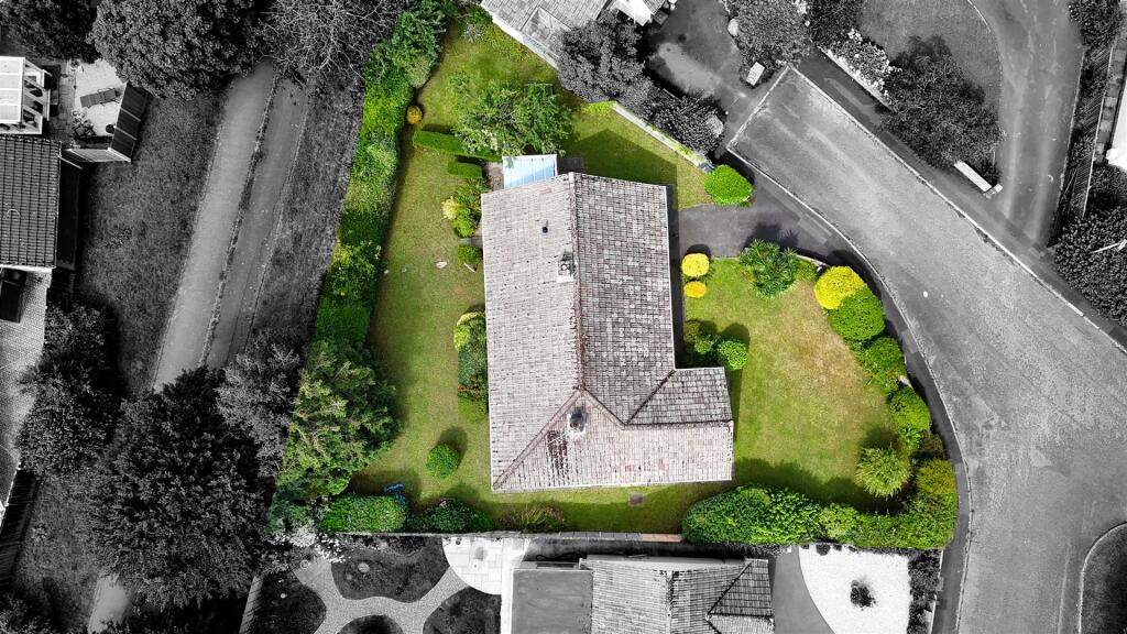 B&amp;W Birds Eye.jpg