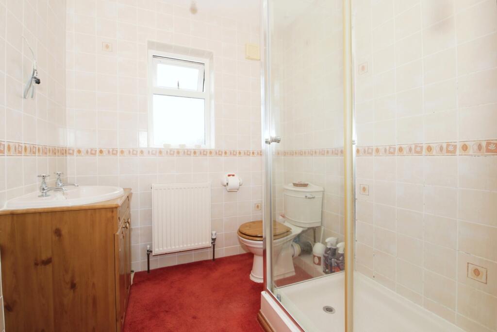 IMAGE 12
