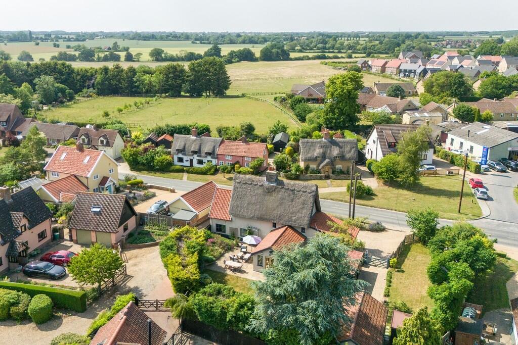 1440px Beech Tree...