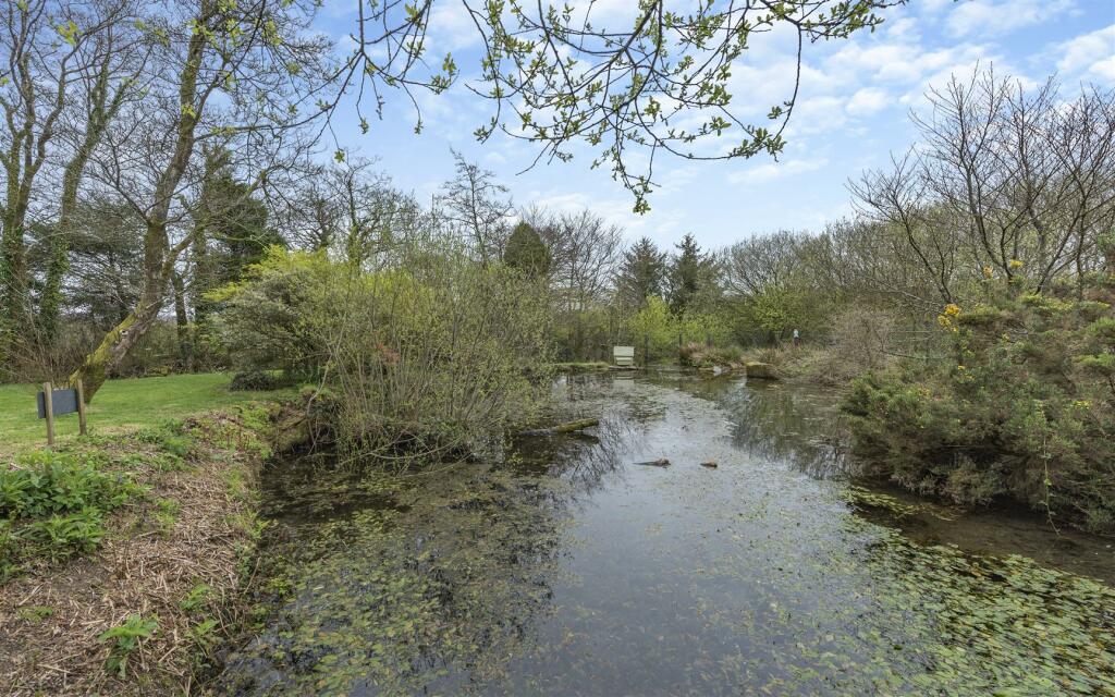 Wildlife Pond &amp; Lake