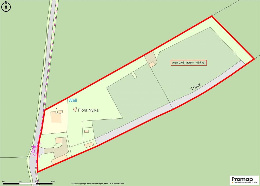 Promap Plan