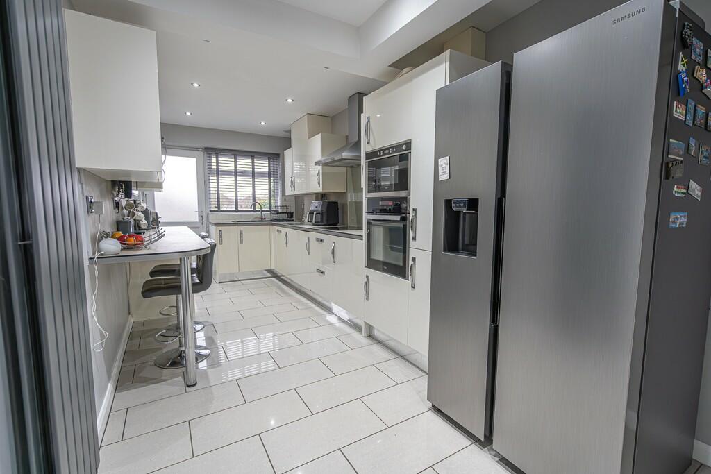 20241217-DSC01719...