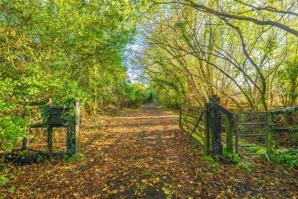 driveway 1.jpg