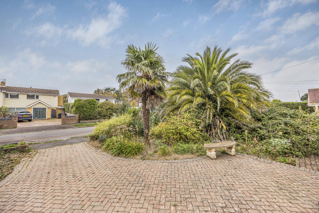 20241109111356825_original [7510806].jpg