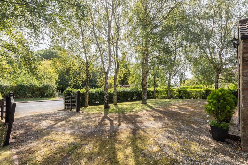Driveway