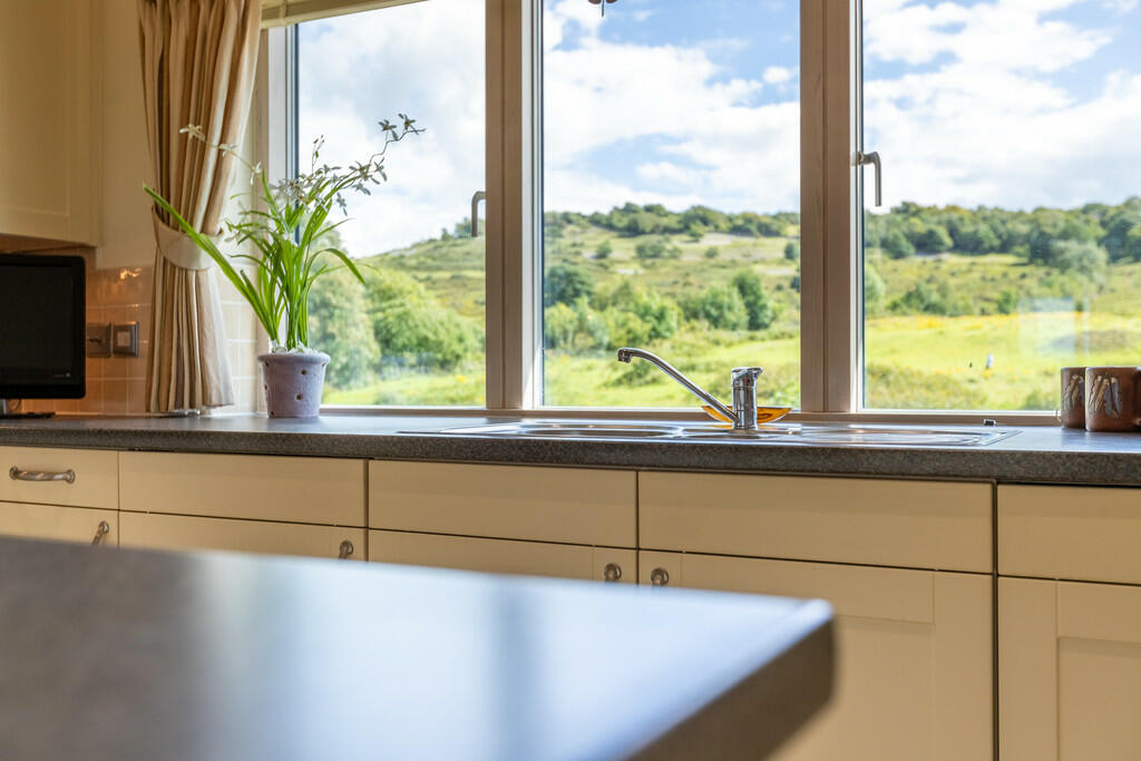Living/Kitchen/Di...