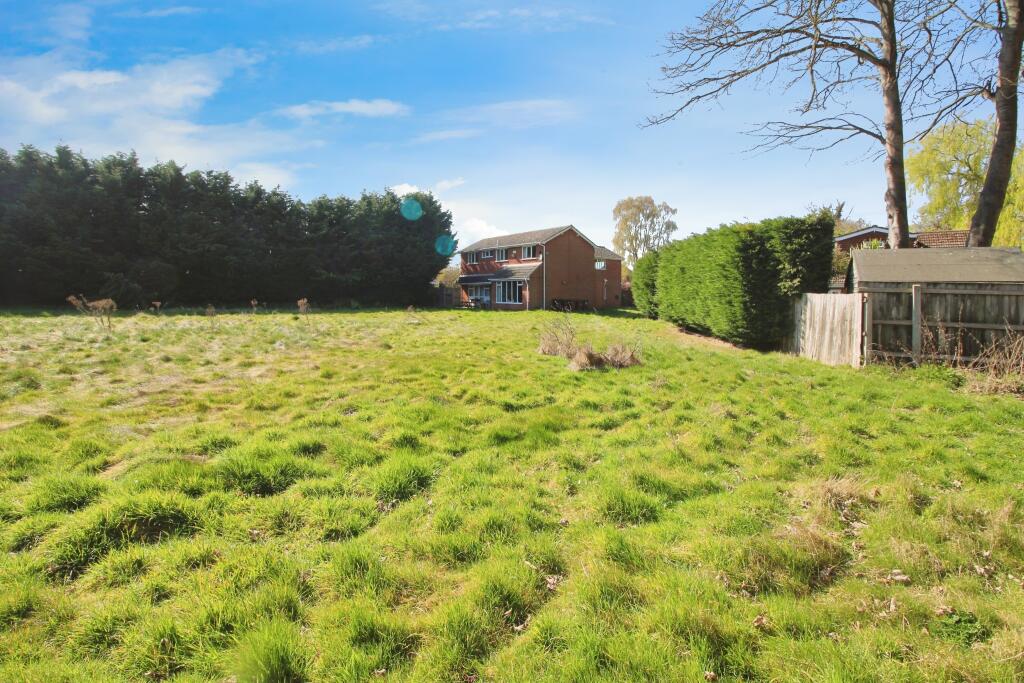 Rear garden.JPG