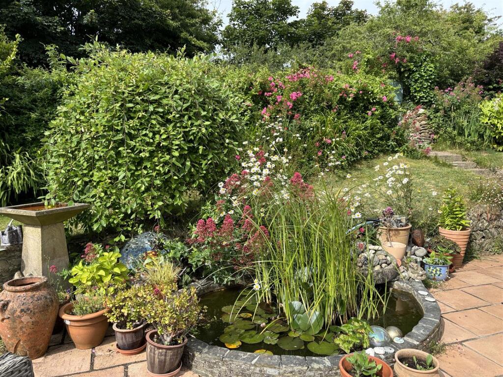 Garden pond.jpg